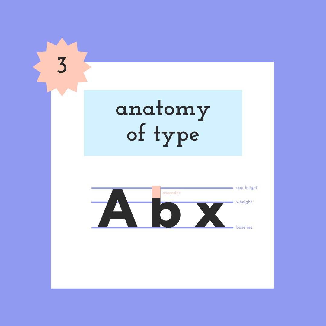 Typography Design Vocab.png