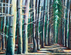 "Love Grows at the Forest on P.E."