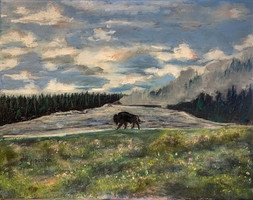 A Bison at Home