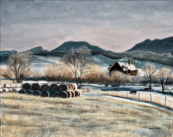 "Quiet Morning After Heavy Snowfall in Colorado Ranch Country"