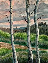 Three Aspens at Sunset
