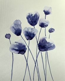Blue Poppies 2, original artwork by Glory Paulson, oil painter, calligrapher and watercolorist, Larkspur, Colorado, www.glorypaulsonfineart.com