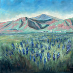 USAFA artwork class color