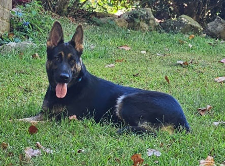 Luna