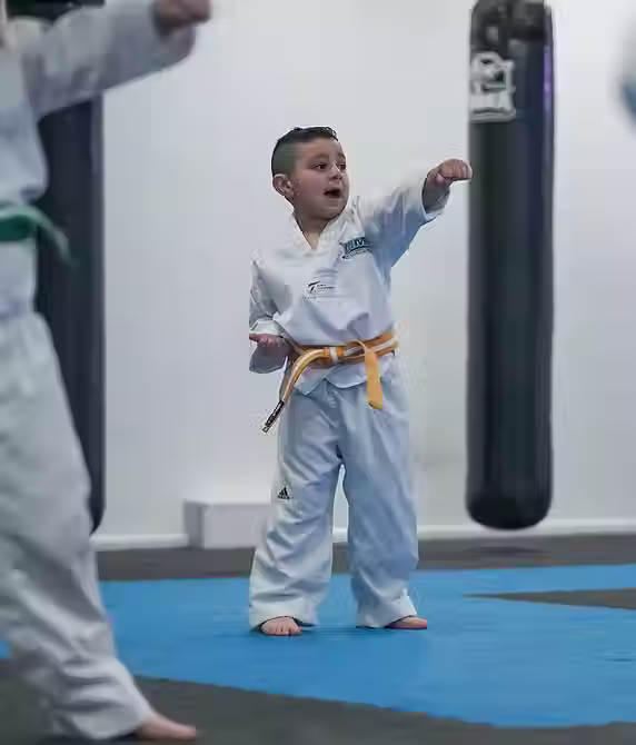 Young child participating in an interactive Taekwondo session at Mozhdeh Martial Arts birthday party