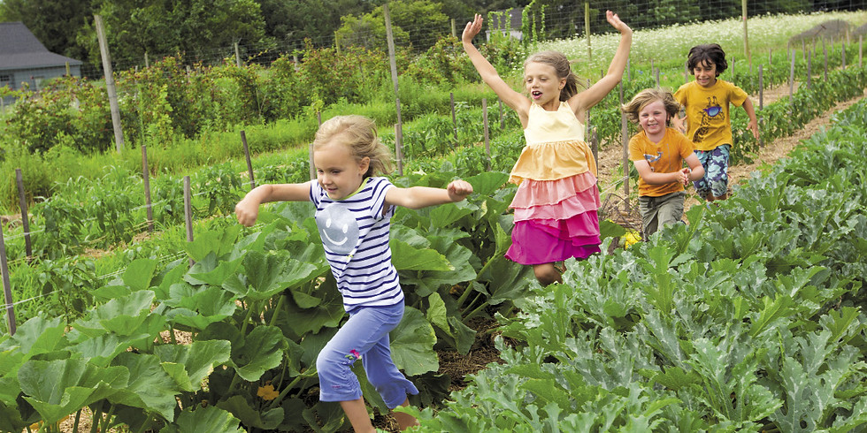Farm To Table Camp Session 1