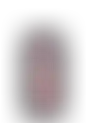 בירה טובורג בפחית