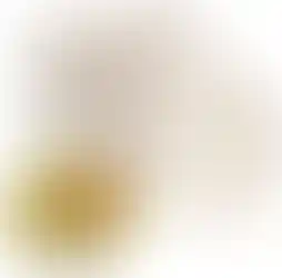 1000 יח' - צלחות עמוקות מתכלות מקנה סוכר 350 מ''ל'