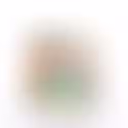 מארז 75 יח',דבש בצנצנת מיני 30 גר'