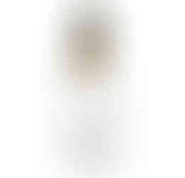 מארז 24 יח', סודה שוופס בטעם לימון, 250 מ''ל