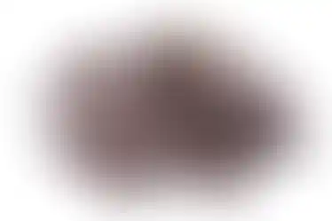 אגוזי פקאן מצופים שוקולד מריר