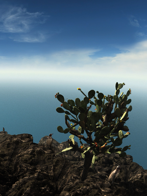 Galapagos scena in realtà virtuale