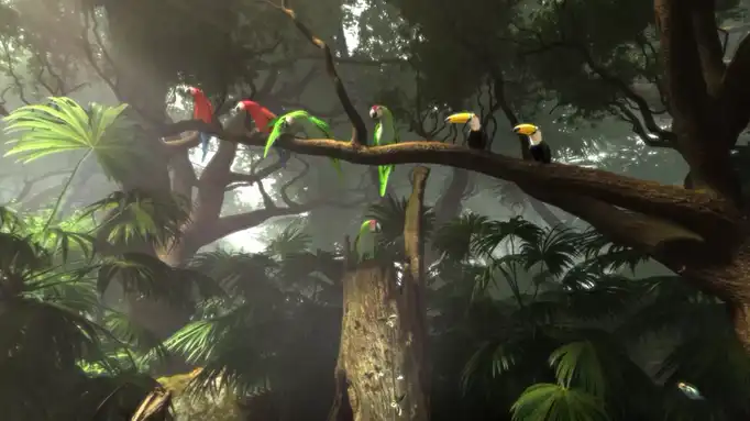 Foresta Pluviale scena in realtà virtuale