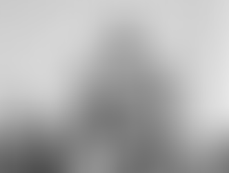 張作霖的髒話管理學 