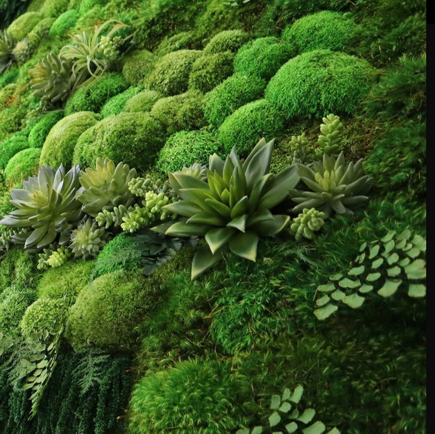 Moss Wall Inspiration 5