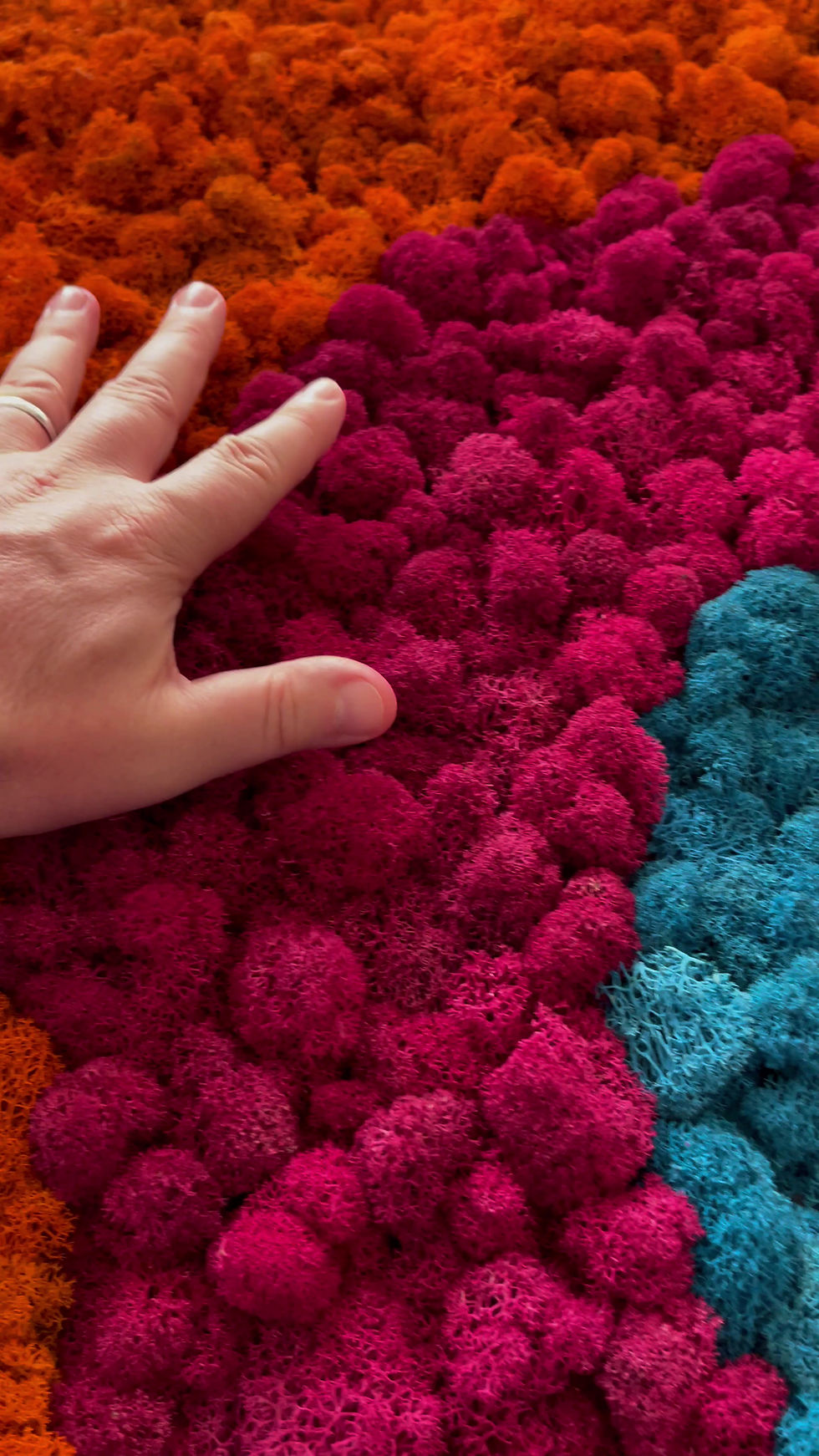 Miniatura: Clip video ravvicinato che illustra con la mano la morbidezza del lichene stabilizzato.