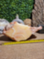 Thumbnail: Tri-colored Calcite