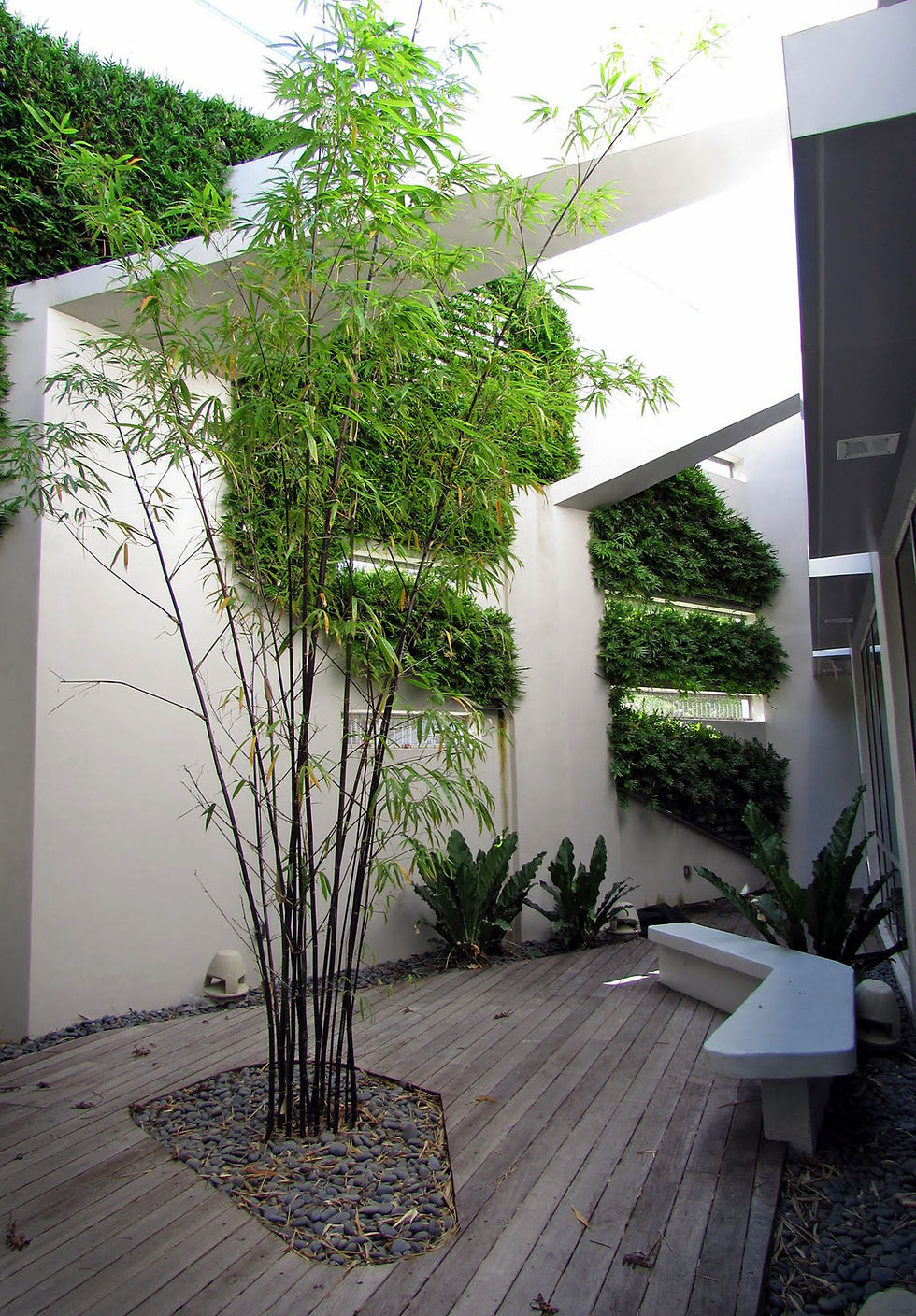 Outdoor courtyard with bamboo plants, green vertical gardens on white walls, and a curved wooden bench. Tranquil, natural setting.