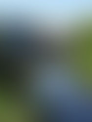 How One Innovative Library Reinforced the Vision Behind Hope Eternal Gardens