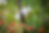 Firefly 20250531094427.png