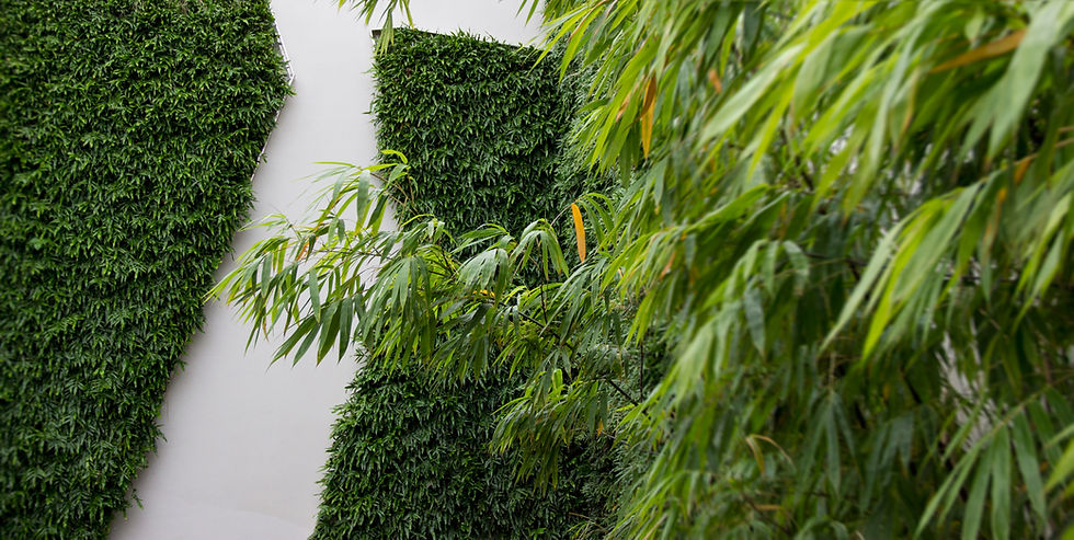 Vertical garden of lush green plants covers a wall with overlapping bamboo leaves in the foreground, creating a serene, natural setting.