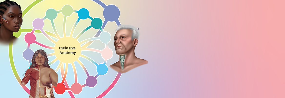 inclusive anatomy banner.png