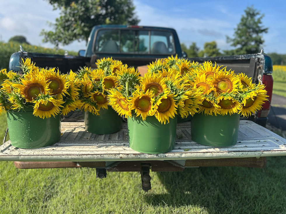 Our First Delivery!