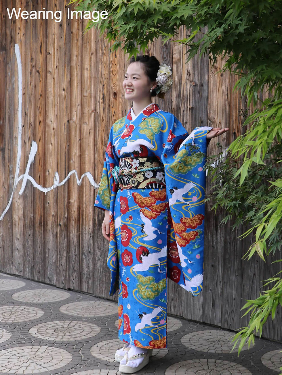 サムネイル： Long-sleeved Kimono that anyone can easily put on by themselves.（鶴）