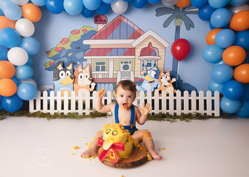 Jasper's Bluey Inspired Cake Smash - Airdrie Birthday Photographer