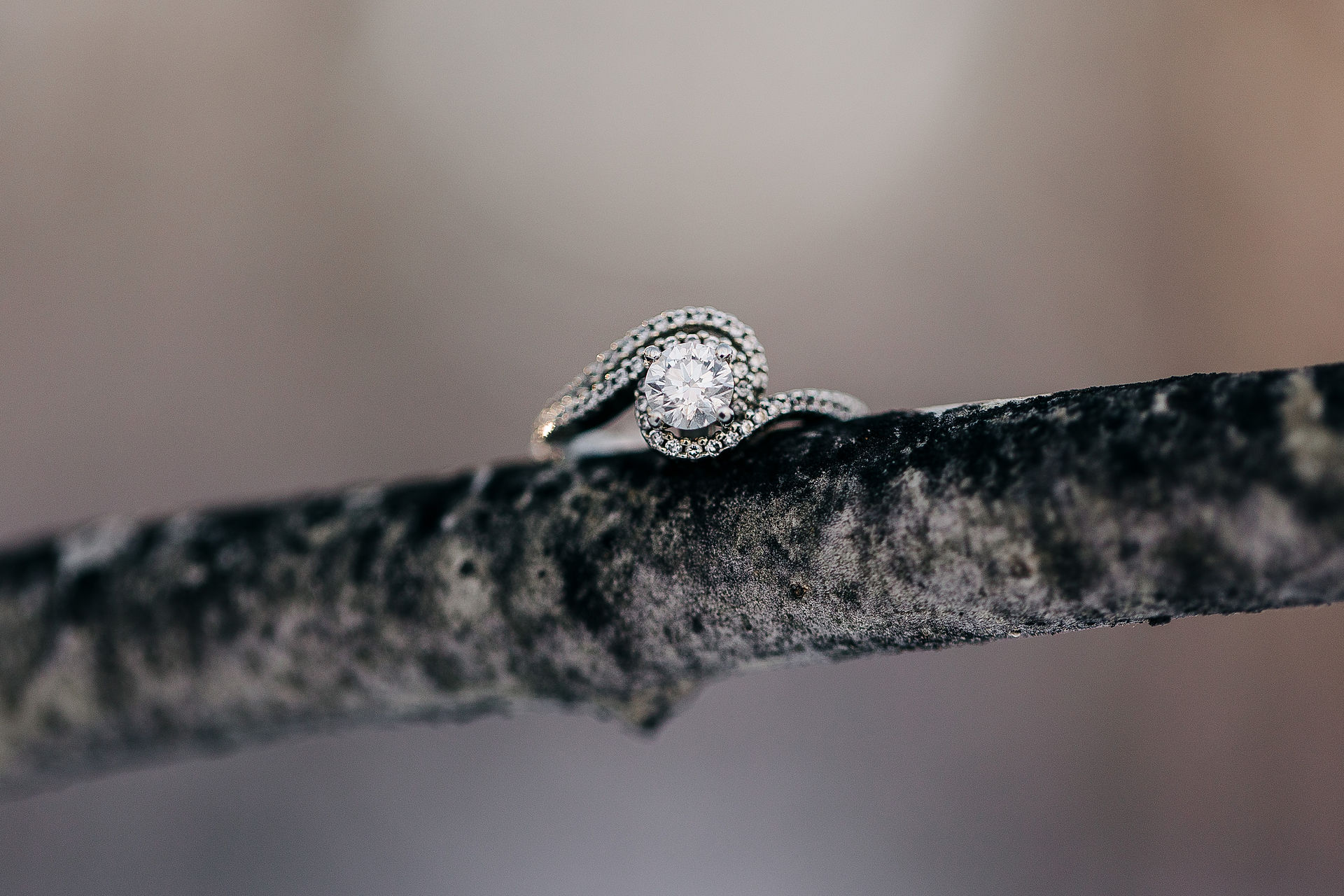 Fish Creek Park Engagement Photos - Lorissa Lee Photography - Calgary, AB