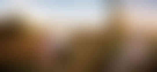 Dreamy Fall Fish Creek Park Maternity Session | Calgary Baby Photographer