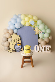 Teddy Bear Mountain Cake Smash Themes - Meagan Paige Photography - Airdrie and Calgary Photographer