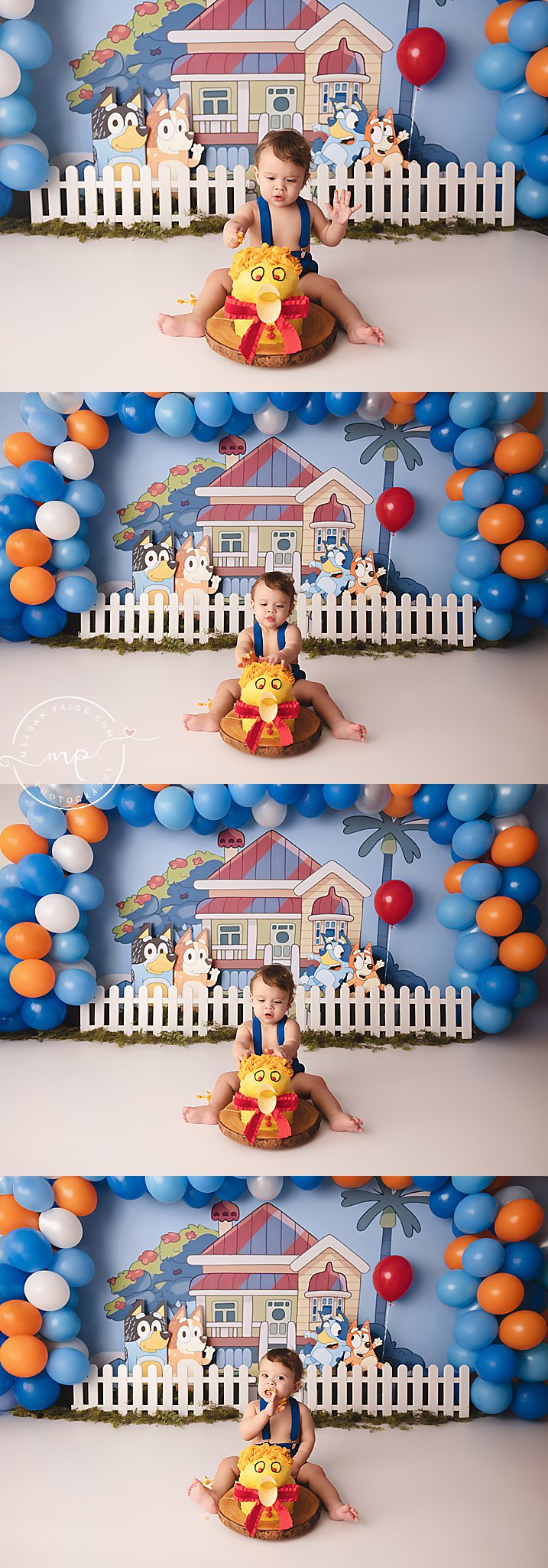 Jasper's Bluey Inspired Cake Smash - Airdrie Birthday Photographer