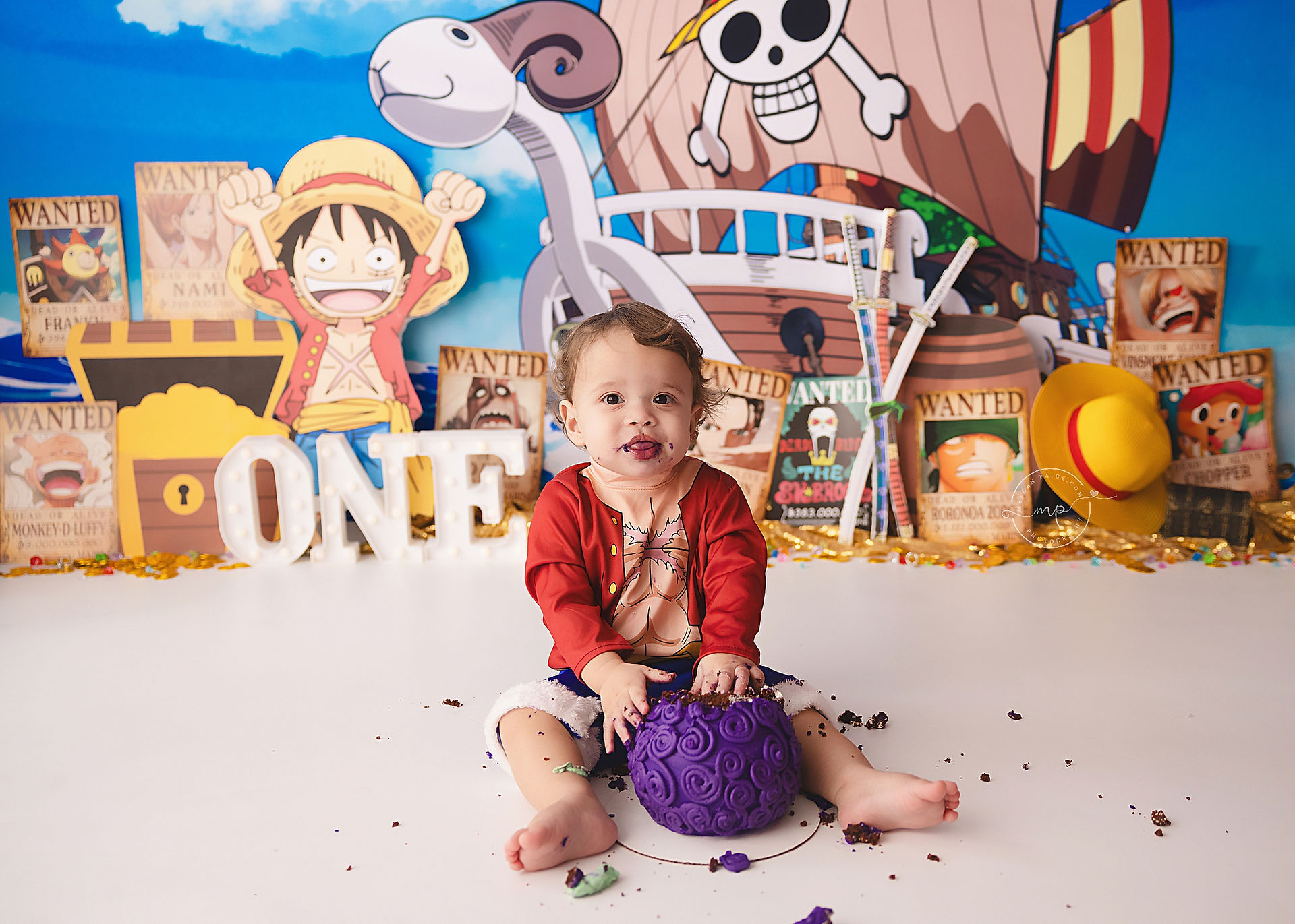 One Piece Themed Cake Smash - Airdrie, AB - Meagan Paige Photography