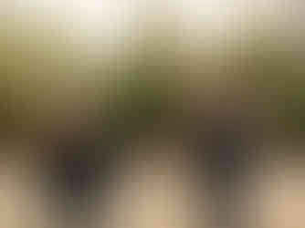 Kali + Broc's Sunflower Field Session | Airdrie + Calgary Engagement Photographer