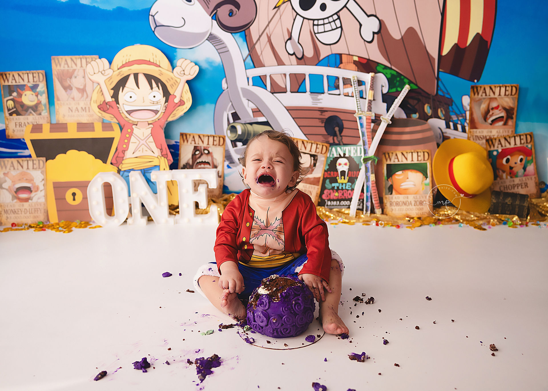 One Piece Themed Cake Smash - Airdrie, AB - Meagan Paige Photography