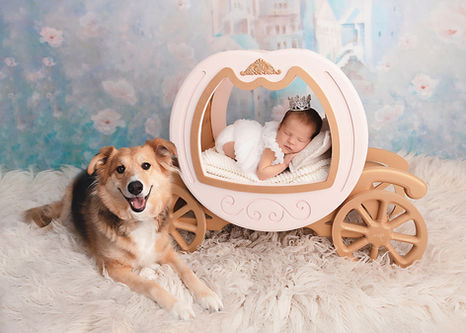 newborn photography in calgary, newborn portraits near me, calgary baby photographer