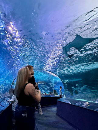 What to Pack for a Flight with a Two-Year-Old (Real Mom Checklist from Our Trips with Jasper) ✈️🧸