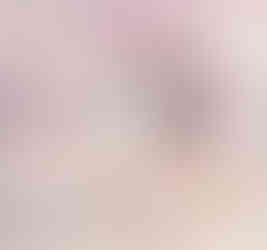 Calgary Pastel Newborn Session - Meagan Paige Photography