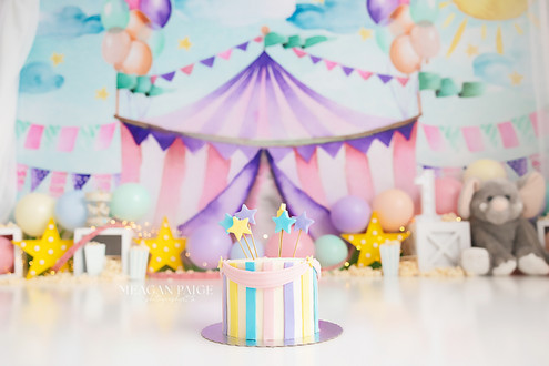 Cake Smash Themes - Meagan Paige Photography - Airdrie and Calgary Photographer