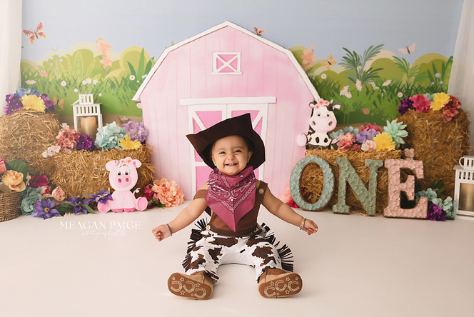 Teddy Bear Mountain Cake Smash Themes - Meagan Paige Photography - Airdrie and Calgary Photographer