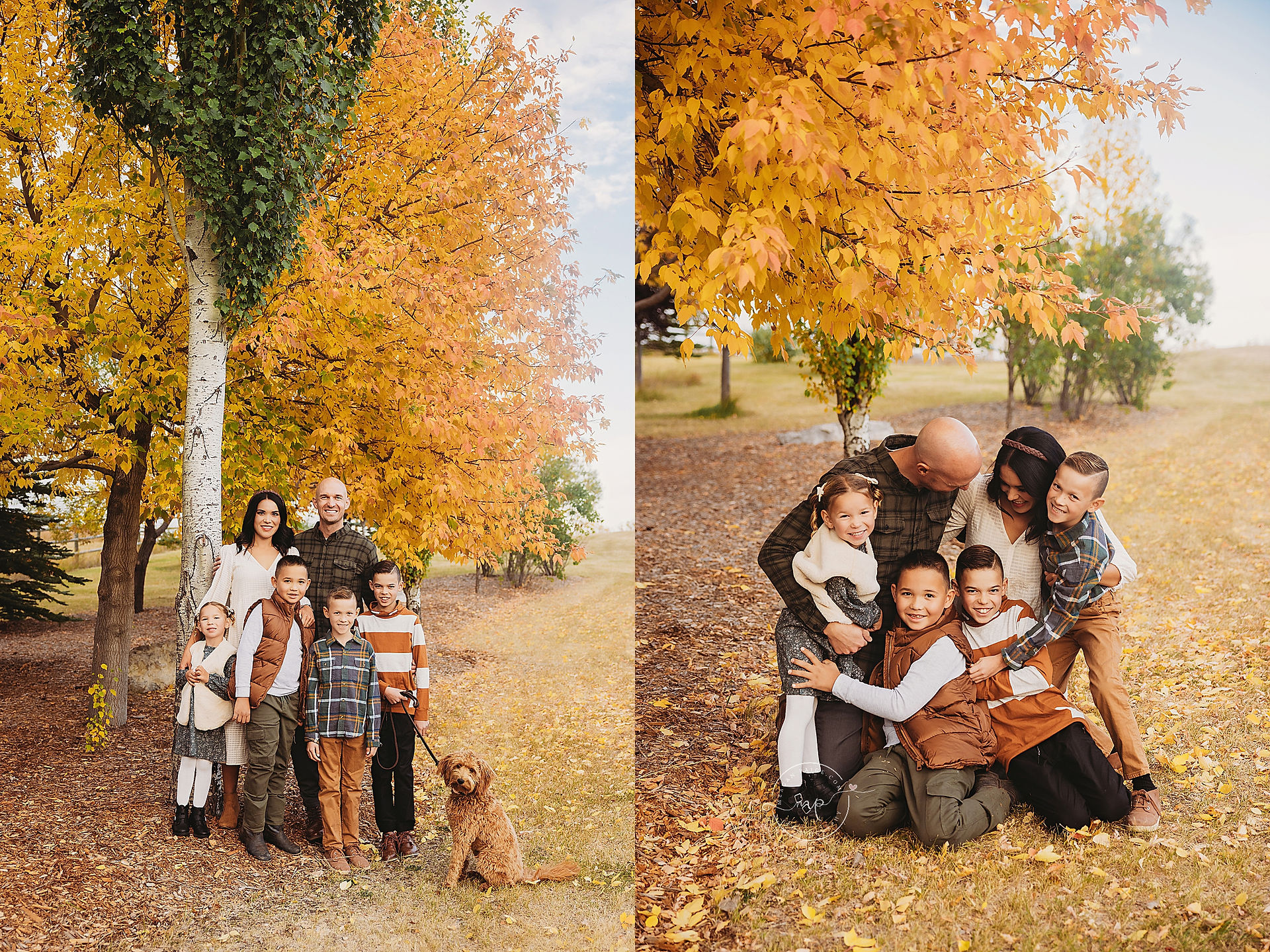 Carla's Fall Family Session | Airdrie Family Photographer