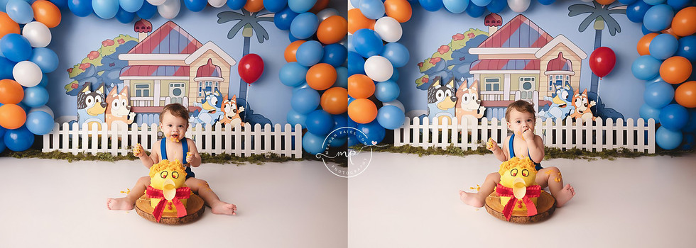 Jasper's Bluey Inspired Cake Smash - Airdrie Birthday Photographer