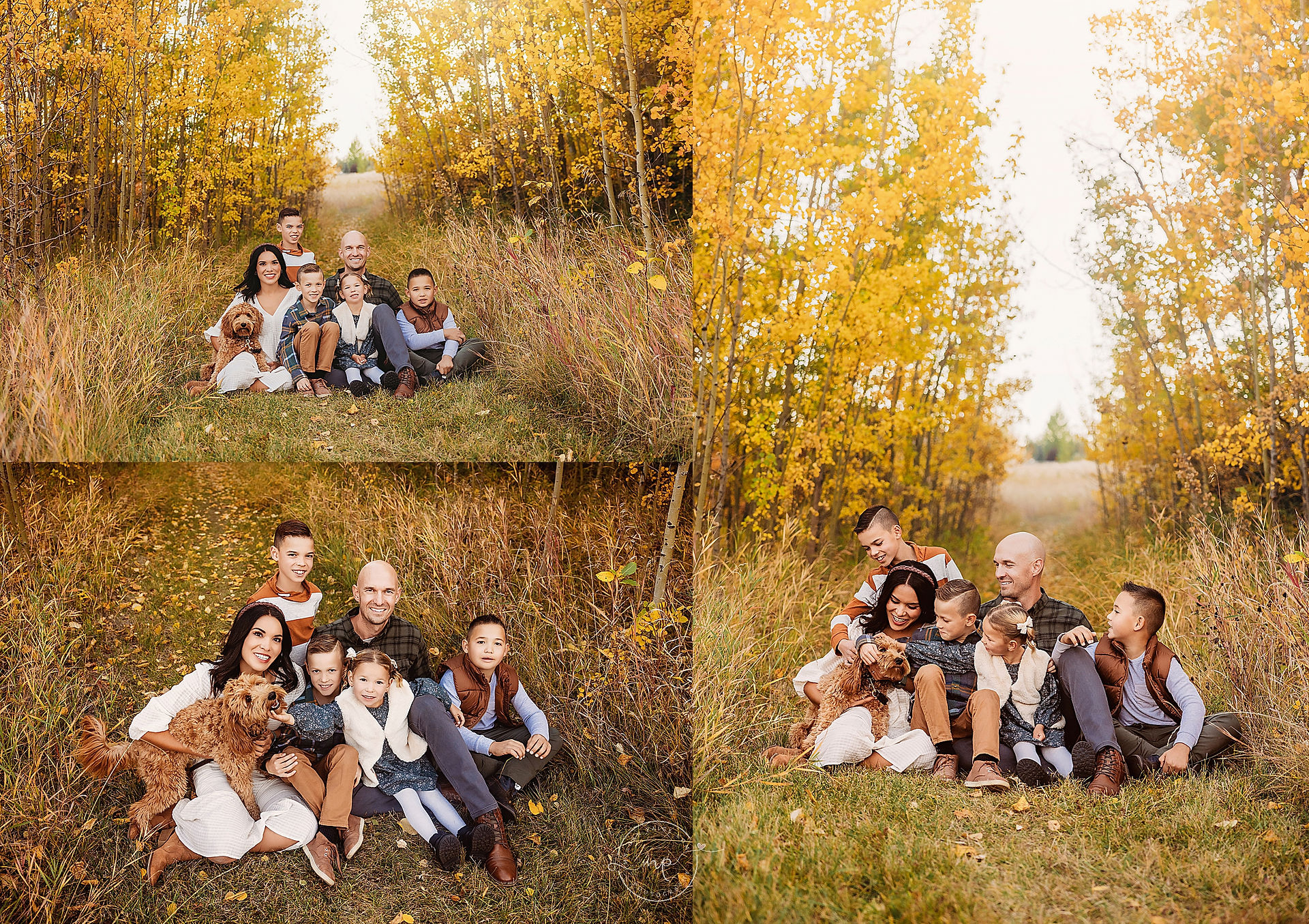 Carla's Fall Family Session | Airdrie Family Photographer