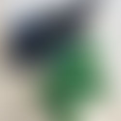 畑