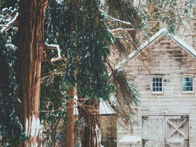 Snow Day Ideas for Home Sellers: 5 Tips for Going From “Snow” Home to "Show" Home!