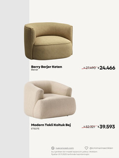 Akıllı Alışveriş Rehberi-Dekorasyon Berjer