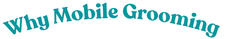 Waitlist (Website) (2).png