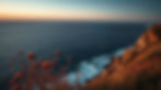 vecteezy_coastal-wildflowers-at-sunset-ocean-view-from-clifftop_70367953.jpg