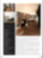 Palace issue 1_Seseragi Residences 2
